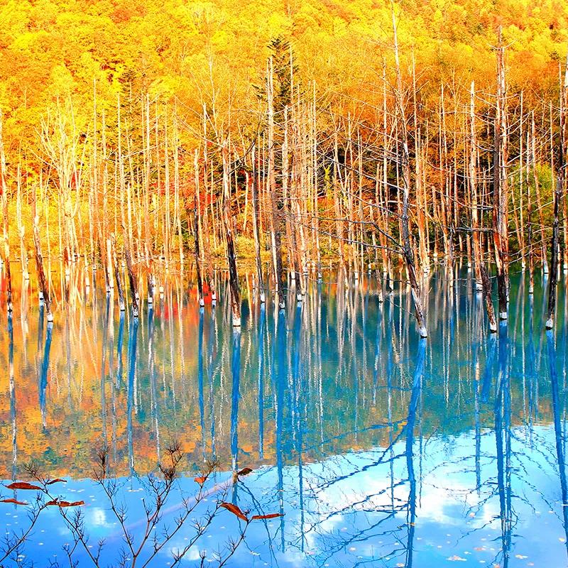 Blue Pond 01_Webp