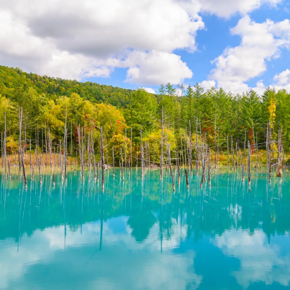 Blue Pond 02_Webp