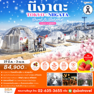 JAPAN : TOKYO - NIIGATA (SNOW & SAKURA) 7D/4N (27 Mar - 2 Apr'26)